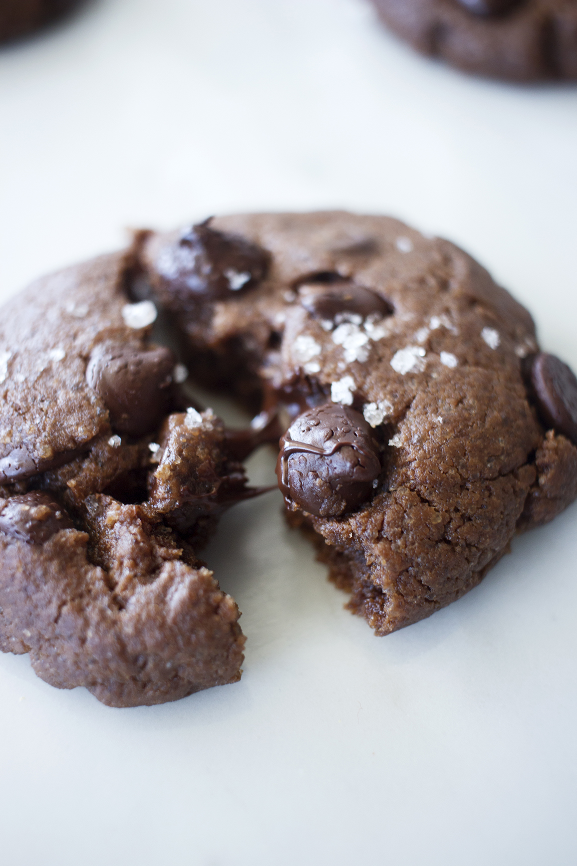 double chocolate cookies