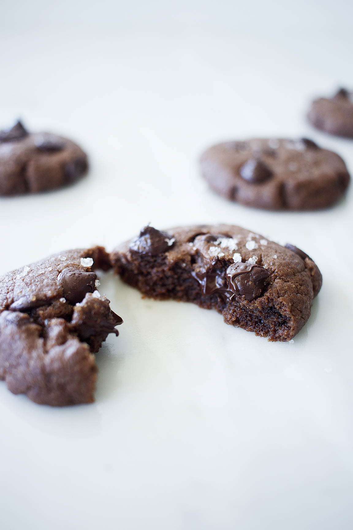 double chocolate cookies